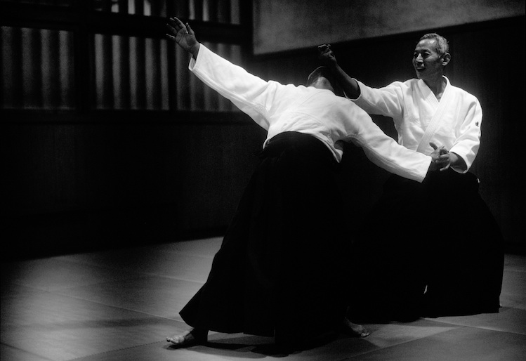 Endo shihan