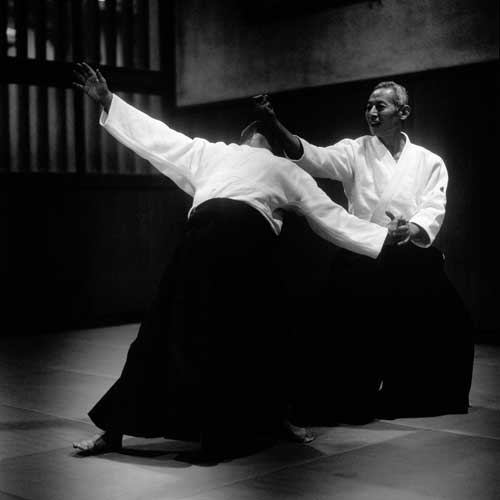 Seishiro Endo shihan